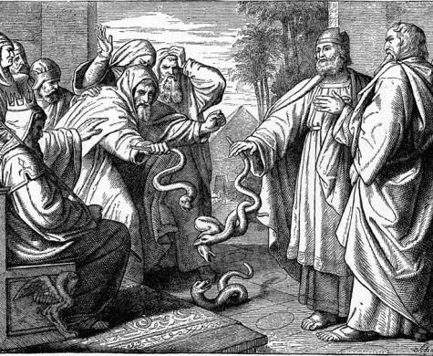 הצג את תמונת המקור