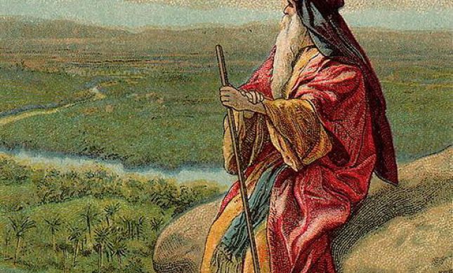 ×ª××× × ×§×©××¨×