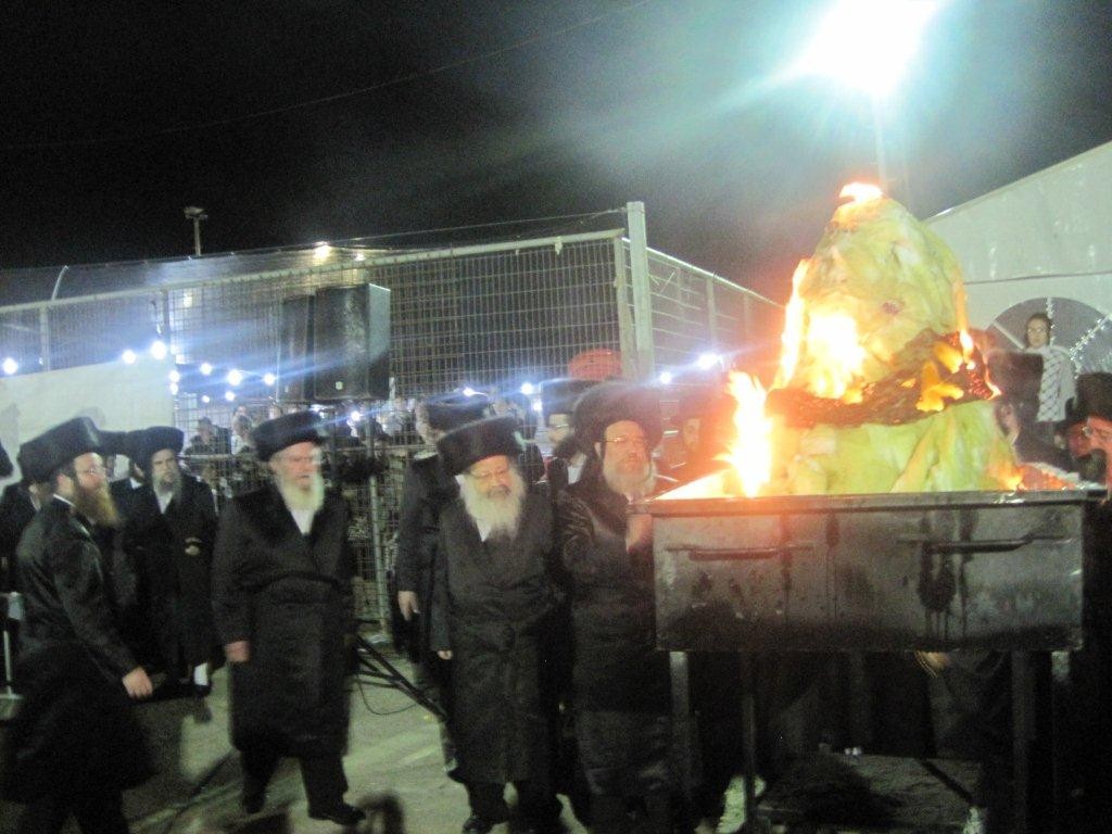 12-צילום - צבי בר - סוכנות הידיעות ''חדשות 24''