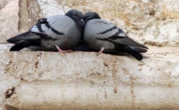 10 הכללים הלא כתובים בדרך אל האושר