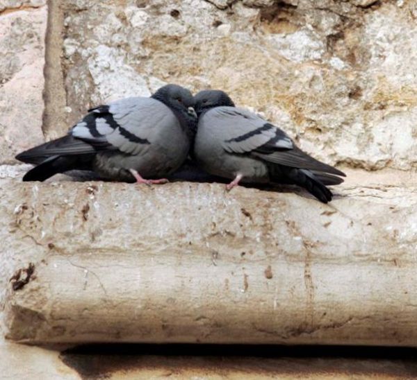 10 הכללים הלא כתובים בדרך אל האושר