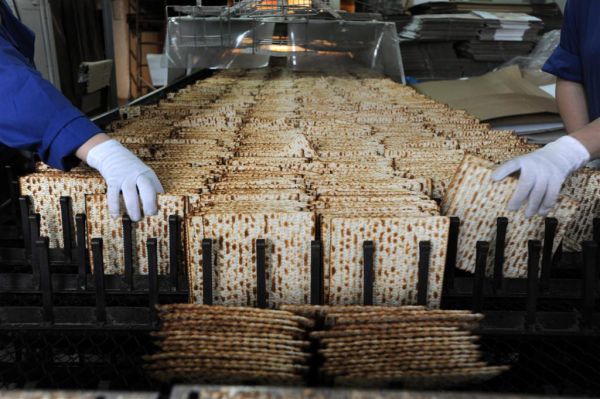 הירושלמים ישברו שיא גינס: המצה הכי גדולה