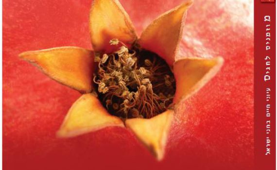 ראש הישיבה כתב התלמידים צילמו. ספר חדש לפסח