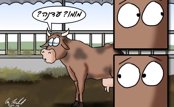 הקריקטורה היומית של אור רייכרט: יום אחרי יום העצמאות