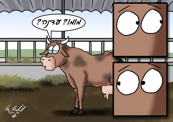 הקריקטורה היומית של אור רייכרט: יום אחרי יום העצמאות