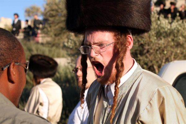 זעם חרדי: "גונן גינת, שרלו ובני לאו – איך אתם מעיזים?"