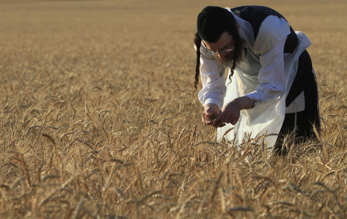 מכתב לחולדאי:במקום לדחות את החרדים הושט להם יד
