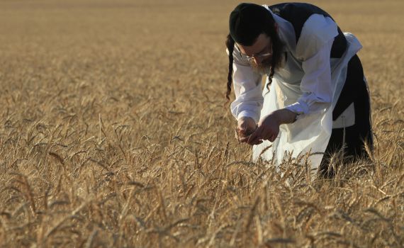מכתב לחולדאי:במקום לדחות את החרדים הושט להם יד