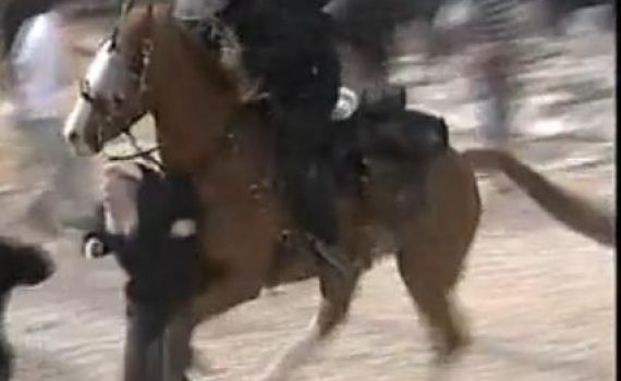 גזר הדין של "הפרש הדורס" – מחר