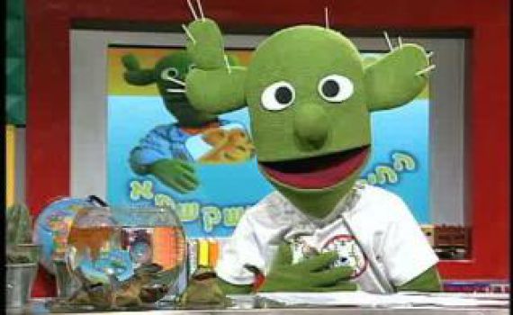 ערוצי הטלוויזיה מציגים: אפס תכנים לחג השבועות