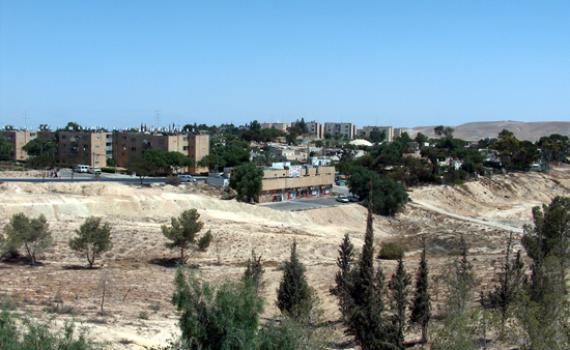 ראש עיריית ערד: העיר מאבדת את הרוב היהודי