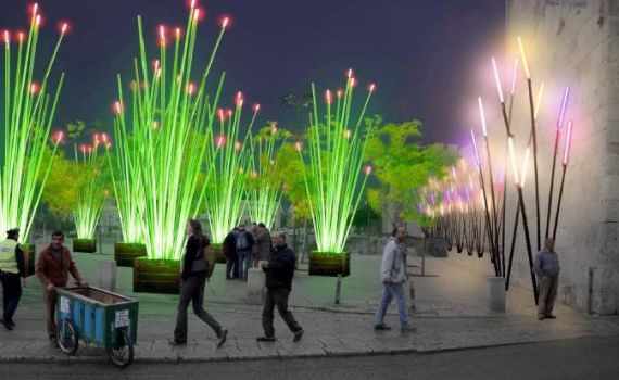 אורות ללא הפסקה – בסמטאות העיר העתיקה