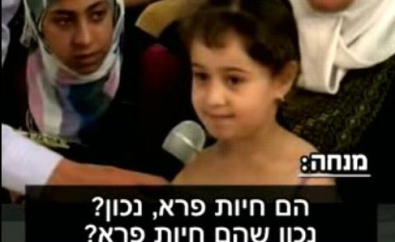 מנחת טלוויזיה בתוכנית לילדים: הישראלים – חיות פרא