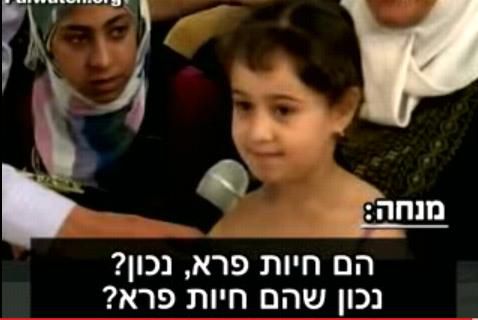 מנחת טלוויזיה בתוכנית לילדים: הישראלים – חיות פרא