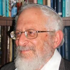 הרב רוזן: נשים בתפקידי ציבור – רצוי, 'אשת קריירה'? – פחות