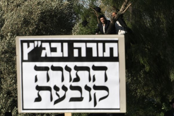 דעה: מלחמה בין החרדים מעמנואל לבג"ץ – תענוג גדול