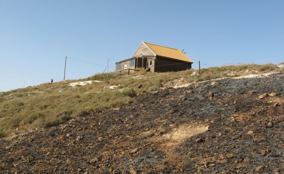 יצהר בוערת: ערבים הציתו שדות ומטעים בהתנחלות