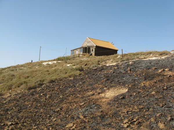 יצהר בוערת: ערבים הציתו שדות ומטעים בהתנחלות