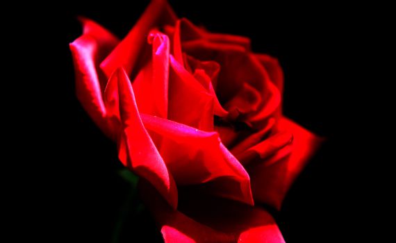 ט"ו באב: מה נשתנה היום הזה מכל הימים?