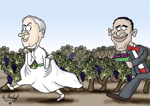 הקריקטורה היומית של אור רייכרט: ט"ו באב