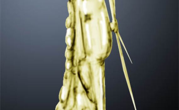 הקריקטורה היומית של אור רייכרט: לזכר הנופלים