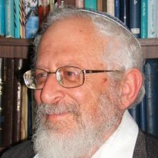 תשובה לרב רוזן: יש בעייה הלכתית בגיורים בצה"ל