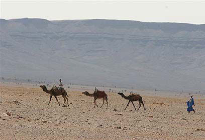 המעגל נסגר: ראש הקהילה שגורש מטריפולי, שב ללוב