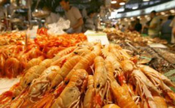 אתר משרד הדתות משיב: "ברכתו של שרימפס – שהכל"