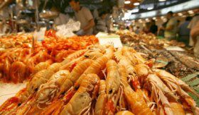 אתר משרד הדתות משיב: "ברכתו של שרימפס – שהכל"