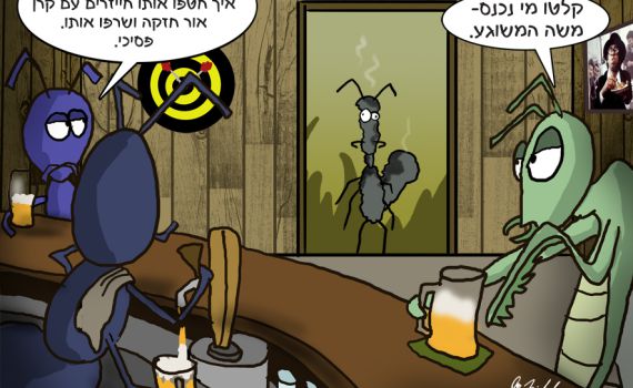 הקריקטורה היומית של אור רייכרט: המשוגע שנכנס לבר