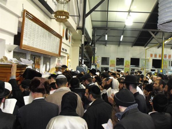 תמונות ממוצאי שבת באומן