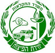 חצי טון בשר כשר שאינו ראוי למאכל אדם הושמד בביקורת על אטליזים בצפת
