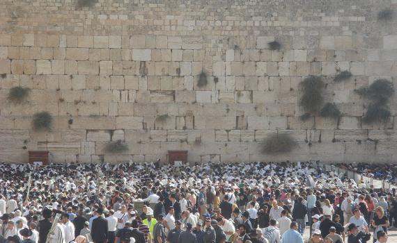 במקום עלייה לרגל: מצלמות הכותל בשידור חי