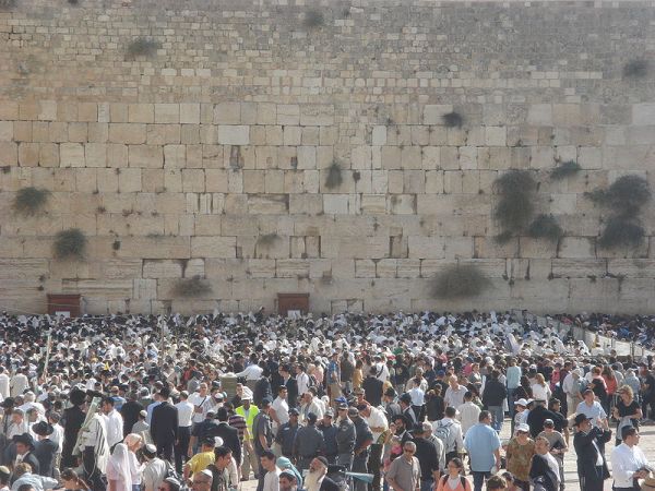 במקום עלייה לרגל: מצלמות הכותל בשידור חי