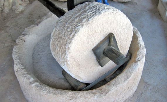 חווה תיירותית ברמת הגולן מזמינה אתכם לחזור לתקופת התלמוד