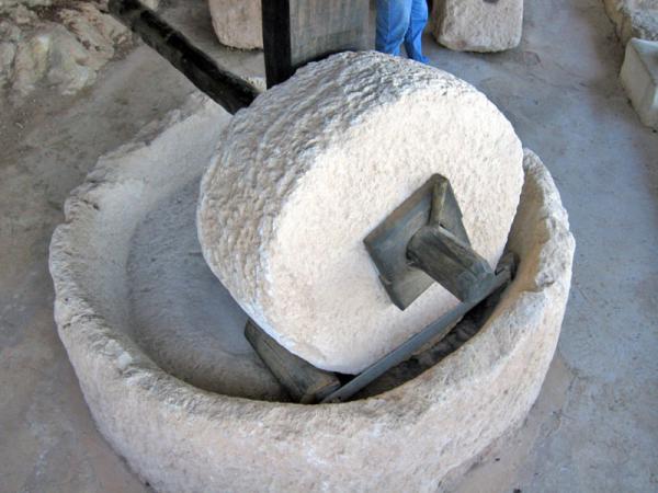 חווה תיירותית ברמת הגולן מזמינה אתכם לחזור לתקופת התלמוד