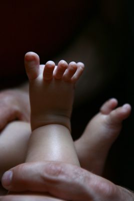 הטור של חיים ולדומירסקי ב"עולם קטן": החלפנו רכב