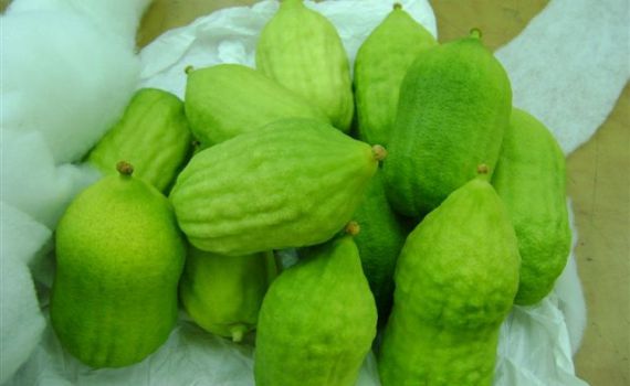 רשות המסים לא מעלימה עין