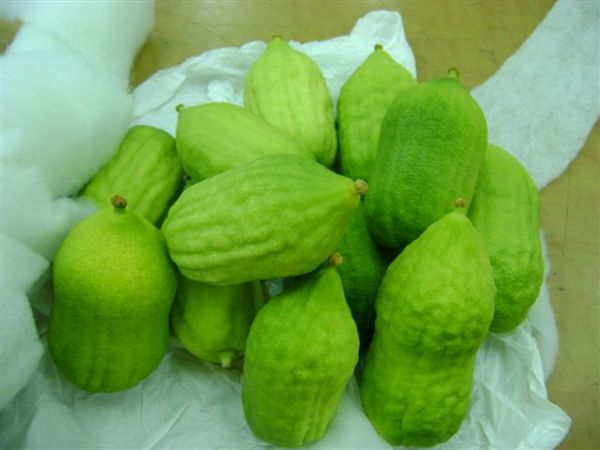 רשות המסים לא מעלימה עין