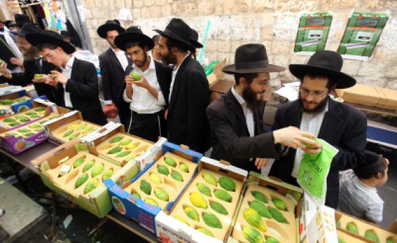 שלא יעבדו עליכם: הלקסיקון המלא לשוק ארבעת המינים