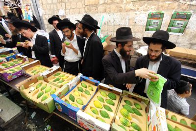 שלא יעבדו עליכם: הלקסיקון המלא לשוק ארבעת המינים