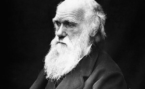 אל תבלבלו בין התפתחות לדרווניזים