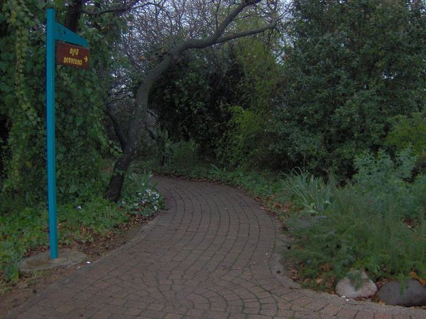 מה קורה כשיושבים חמישה ימים בלי להוציא מילה מהפה?