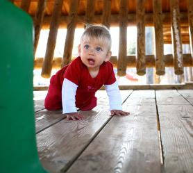 מהפכה בפסיכולוגיה: מחקר חדש מגלה כי גם לתינוקות יש מוסר