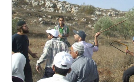 החלה עונת המסית: ביישובי השומרון מכינים תרופה למכה