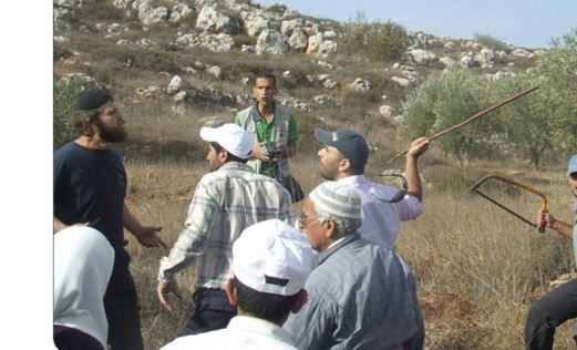 החלה עונת המסית: ביישובי השומרון מכינים תרופה למכה