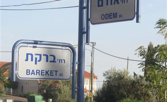 אחרי עשרים וחמש שנה גם בצפת יש שמות לרחובות