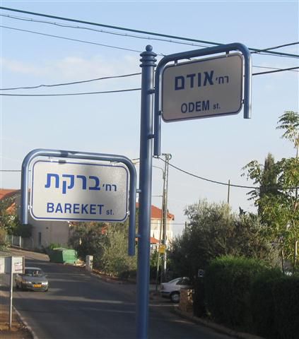 אחרי עשרים וחמש שנה גם בצפת יש שמות לרחובות