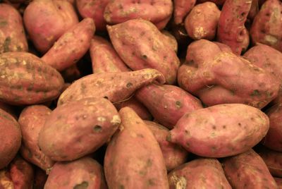 המצב בטטה: שנה מוצלחת בייצוא תפוחי אדמה וגזר