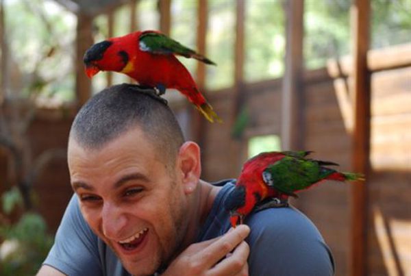 יש זוכה בתחרות הצילומים 'ציפורים בראש' בגן גורו